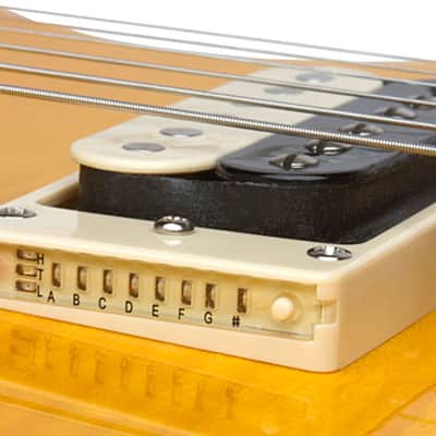 Epiphone Slash "AFD" Les Paul Special-II 2000's Appetite Amber image 9