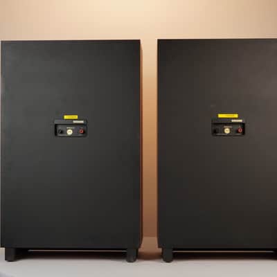 Tannoy Berkeley Pair Of Speakers – Restored – 1-Year Warranty image 5