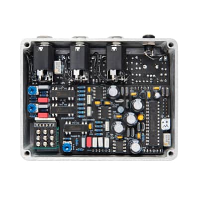 Fairfield Circuitry Placeholder Bucket Brigade Reverb Pedal image 2