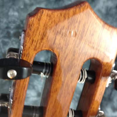 Cordoba Fusion 14 Rose w/ Solid Rosewood Top - Fishman Presys Preamp - Tuner & Premium Gigbag #25295 image 12