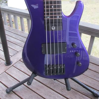 G. Gould GGi5 2016 Purple Metalflake 5 string bass image 9