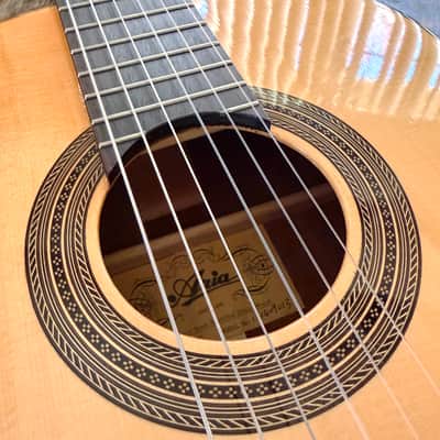 Aria A-405 Full Size Classical Guitar, With Hard Case And Free Shipping image 4