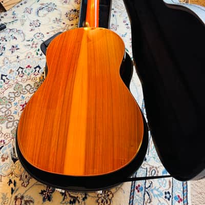 José M. Palmero Flamenco Negra 2024 image 9