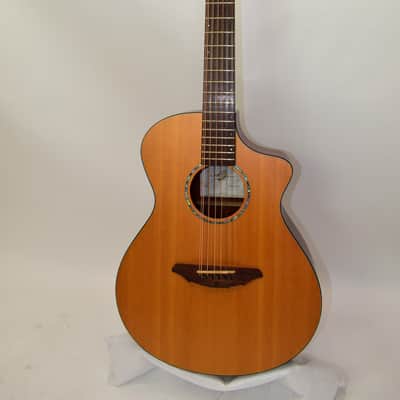 Breedlove AC250/SM-12 AC250SM 12-string Concert Acoustic Electric Guitar w/ Bag image 2