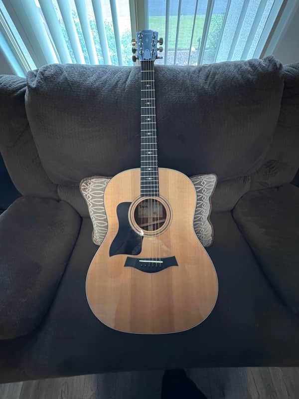 Taylor 317 image 1