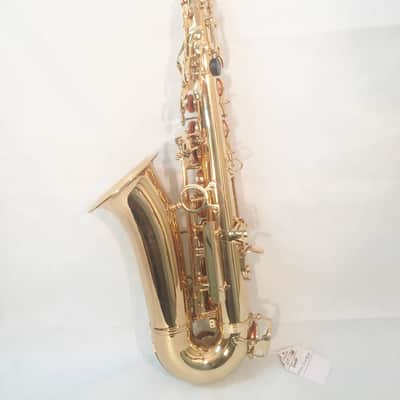 Musikwerks-Gold Lacquer Alto Saxophone-Semi Pro Level-High F#-New-Shop Warranty! image 2