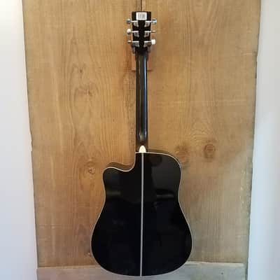 Esteban by American Legacy ALC-200 Acoustic Electric Cutaway Used image 2