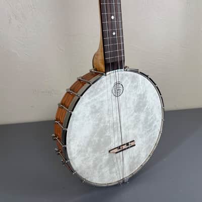 Handcrafted Open-Back Banjo with Hard Case image 3