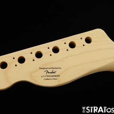 Fender Squier Affinity Series Telecaster Thinline NECK, Tele Maple image 6