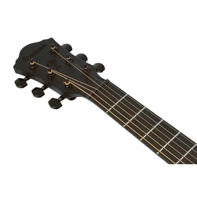 Ibanez AEG Series AEG621 Acoustic Electric Guitar, Black Out image 8