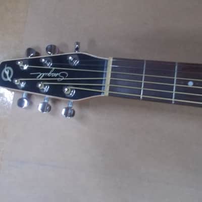 Seagull Entourage Rustic Dreadnought Acoustic Guitar Player!! image 5