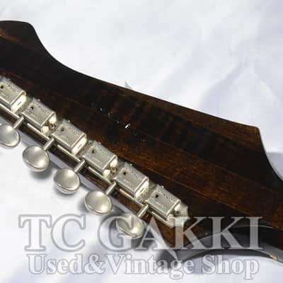 Gibson 1981 Firebird II image 8