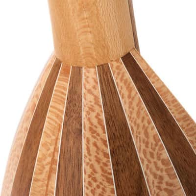 Folk Instruments Soprano Lute Ukulele with Bag image 9