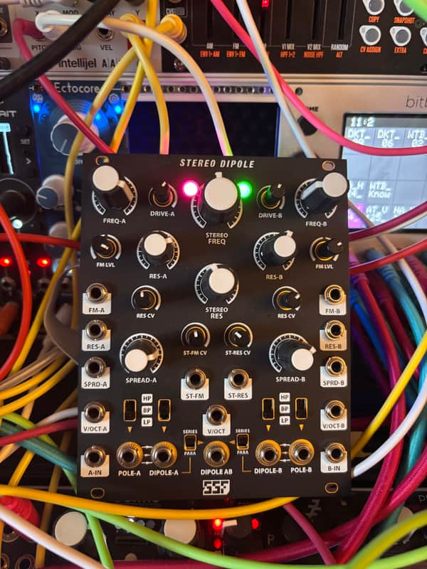 Steady State Fate Stereo Dipole