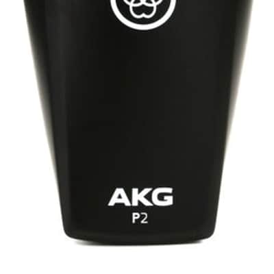 AKG Perception P2 Cardioid Dynamic Bass Microphone image 2