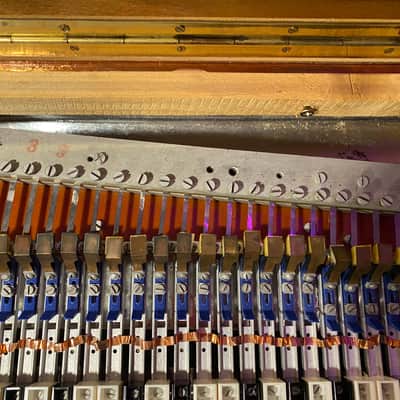 Hohner Cembalet 60's PRO SERVICED/WARRANTY ! image 9