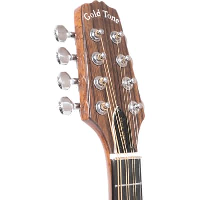 Gold Tone Traditional Irish Mandola with Pickup - Natural image 4
