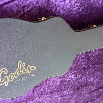 Godin Hardcase for A4 Ultra Bass or other bass models* Robust made in Canada * in very good condition except for one broken latch *RC-19* image 2