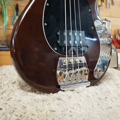 Music Man StingRay Walnut - 1979 image 3