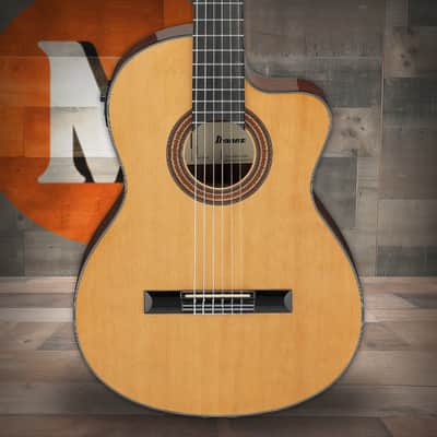 Ibanez GA Series GA6CE Classical Cutaway Acoustic-Electric Guitar - Natural (GA6CE) image 1
