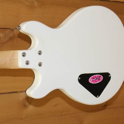 Daisy Rock Retro H 12-String, USED image 4