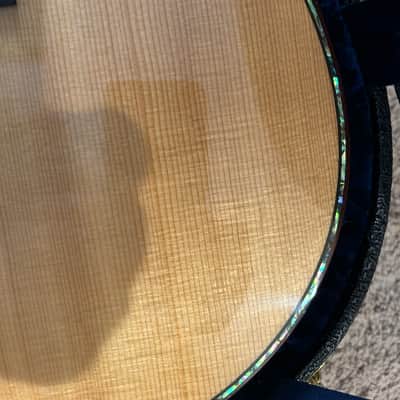 🎸 Larrivée LV-10 (2008) – Boutique Tone, Player’s Price image 13