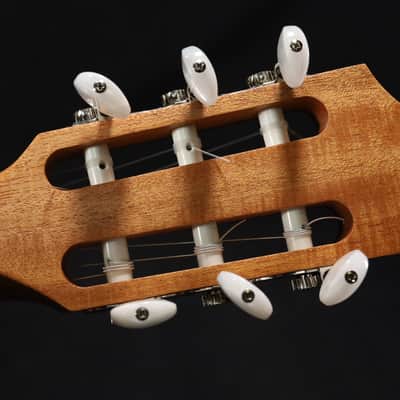 Taylor 214ce-N Nylon Acoustic-electric Guitar - Natural 499 image 12