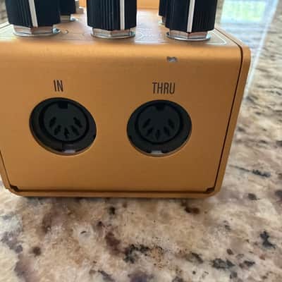 Walrus Audio Mako  ACS1 Amp + Cab Simulator 2021 - 2024 - Gold image 3