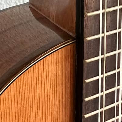 Kala KA-SCAC-T Solid Cedar Top Acacia Tenor 8-String ukulele - Gloss image 5