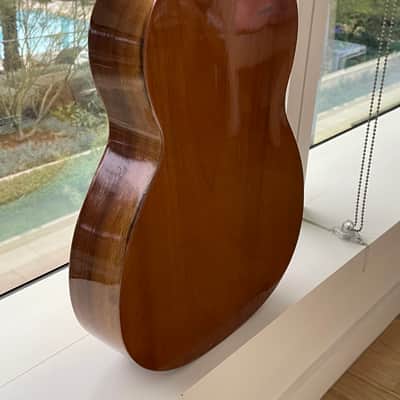 Giannini GN50 Early 1970s - Brazilian Mahogany & Rosewood Varnish image 7