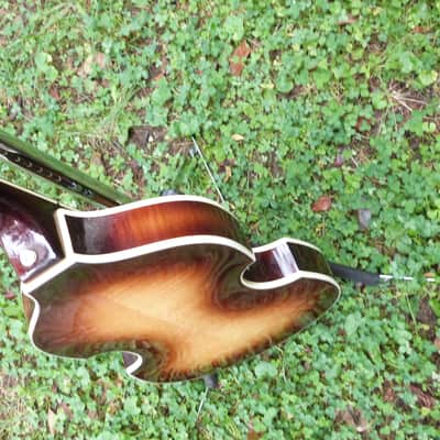 Hofner beatle bass 500/1 left hand right hand  1969 sunburst image 14