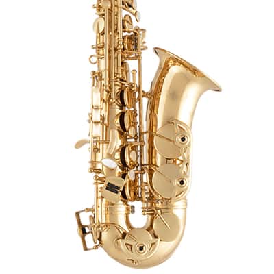 Selmer SAS411 Step-up Alto Saxophone - Lacquered image 1