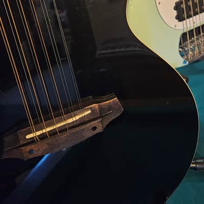 ESP LTD TL-12 Thinline Acoustic-Electric Guitar, 12-String image 16