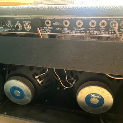 1981 Fender Twin Reverb 135-Watt image 3