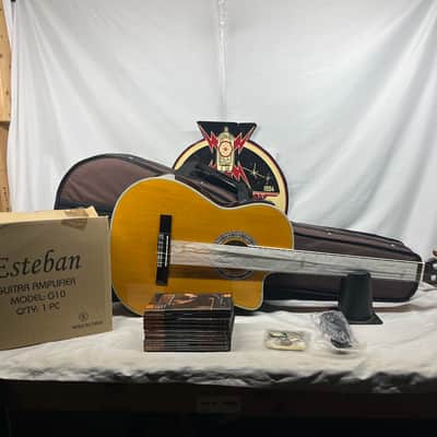 Esteban Granada Classical Acoustic Guitar and G10 Amplifier Like New image 1