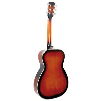 *DEMO* Gold Tone Paul Beard Signature Roundneck Resonator | Tobacco Sunburst image 3
