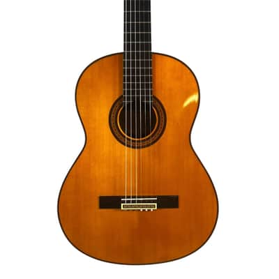 Yamaha G-245SII Classical Acoustic Guitar w/ Case image 1