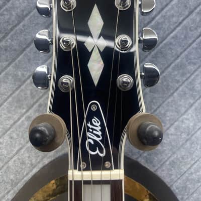 Firefly FF-LPS Tiger Queen SOLD OUT! Tool Silver Burst Adam Silver Last One! SkunkWerx In USA Setup and Fret Polish image 15