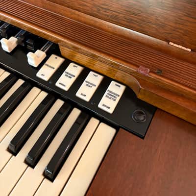 Hammond RT-3 1961-1962 image 9