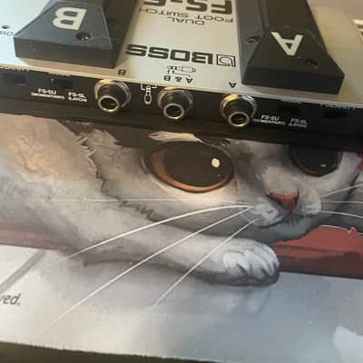 Boss FS-6 Dual Footswitch image 2
