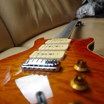 Hamer Custom built Archtop P90 1994 59 Burst image 11