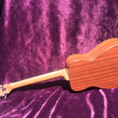 2012 Martin LXM image 4