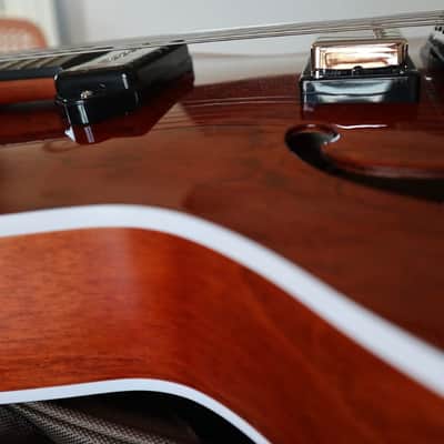 Godin 5th Avenue Uptown Custom - Havana Burst kg 2,75 image 5