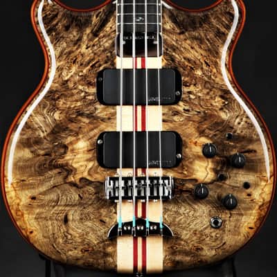Alembic Stanley Clarke Deluxe - Buckeye Burl image 1