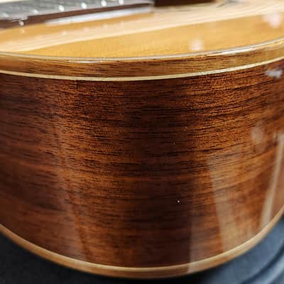 Ortega RCE 159-8 Performer Series 8-String Guitar image 12
