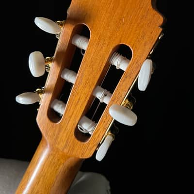 Fratelli Lodi Cedar Brazilian Rosewood Classical image 11