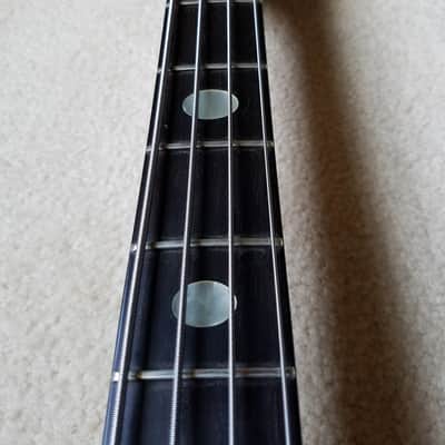 Alembic Spoiler 1984 image 16
