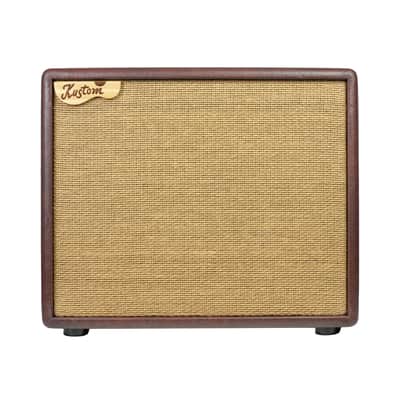 Acoustic Image Coda R Series IIa - perfect for upright bass, AC