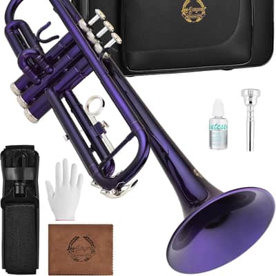 Bb Trumpet for Beginners, Brass Student Trumpet Kit with Case, 7C Mouthpiece, Cleaning Kit, Standard B Flat Instrument - Purple image 1
