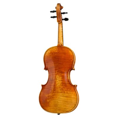 Paesold PA803EAS 4/4 Violin - Hand Varnished image 2